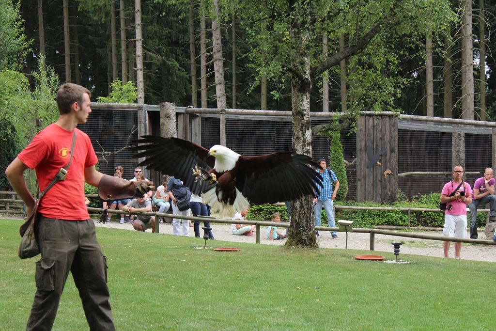 Das Kleine Glueck Bullange Zewnętrze zdjęcie
